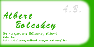 albert bolcskey business card