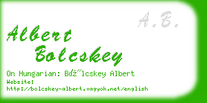 albert bolcskey business card